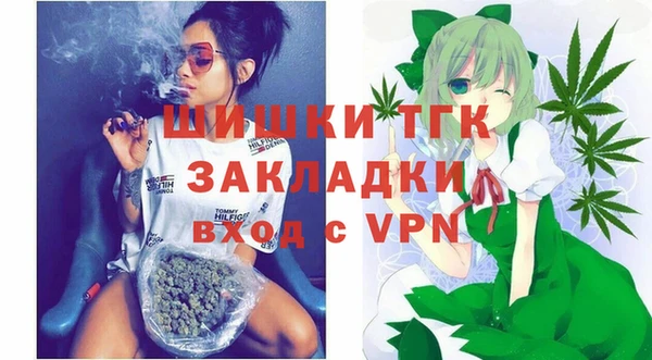 сатива Белокуриха