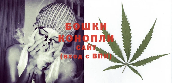 сатива Белокуриха